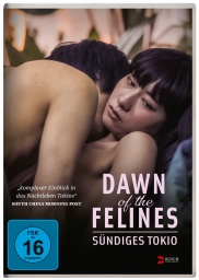 dawn_of_the_felines_cover